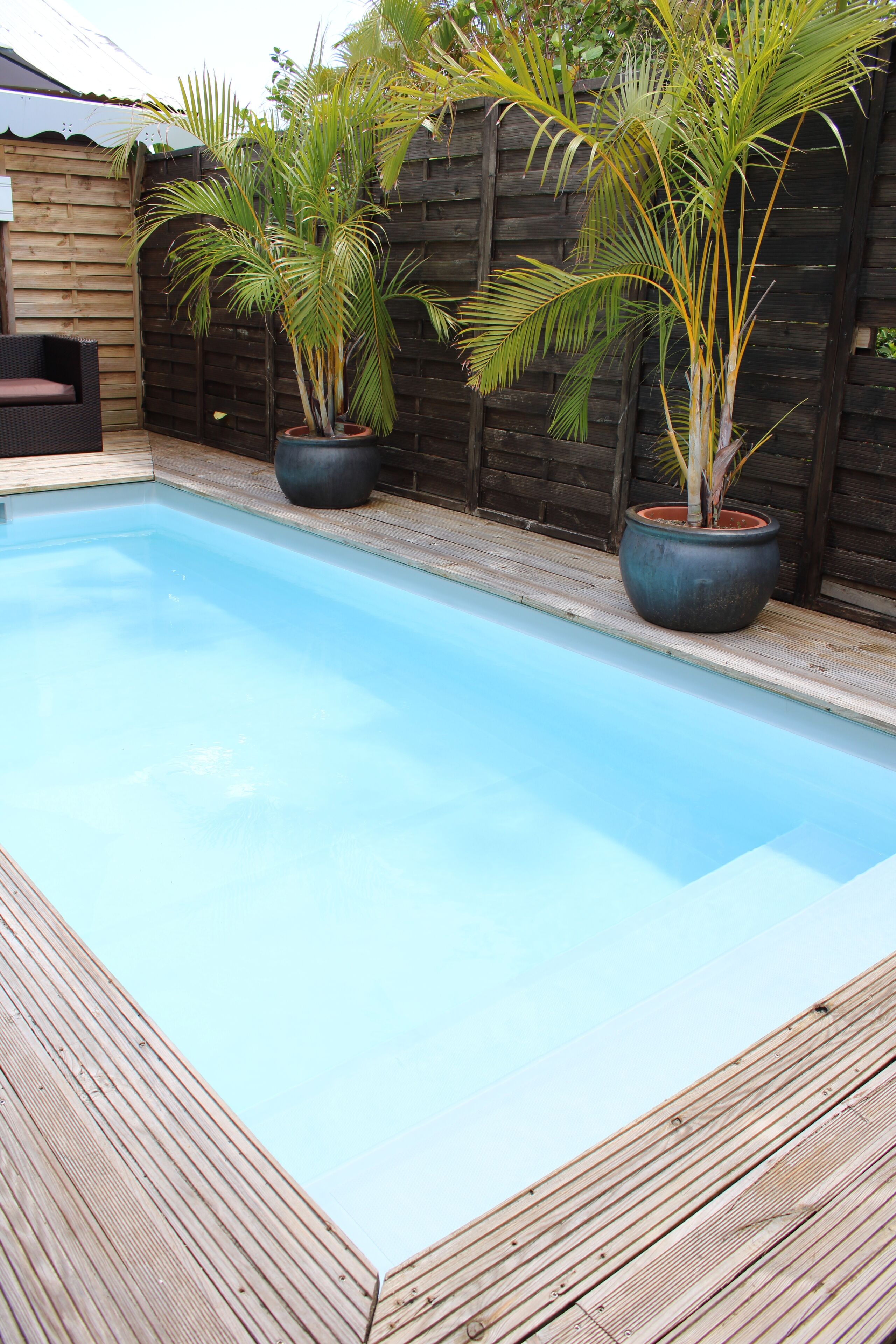 Ein rechteckiger Swimmingpool mit umlaufender Holzterrasse. Zwei große Kübelpflanzen mit hohen, schlanken Stämmen und grünem Laub sind vorhanden.