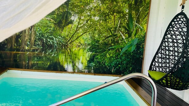 A pool area with a metal ladder, a hanging chair, and a mural of a forest scene. - Eden Paradise Spa Ecolodge (Sainte-Luce)