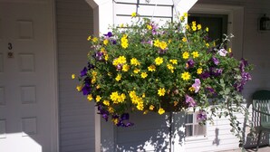 A hanging flower basket with yellow and purple flowers in front of a white house with a door marked "3". - Northwoods Motel (Hayward)