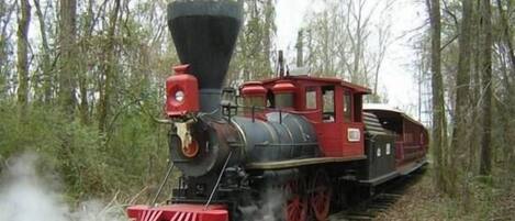 A steam locomotive with a red and black exterior, moving through a forested area with steam emitting from its front.