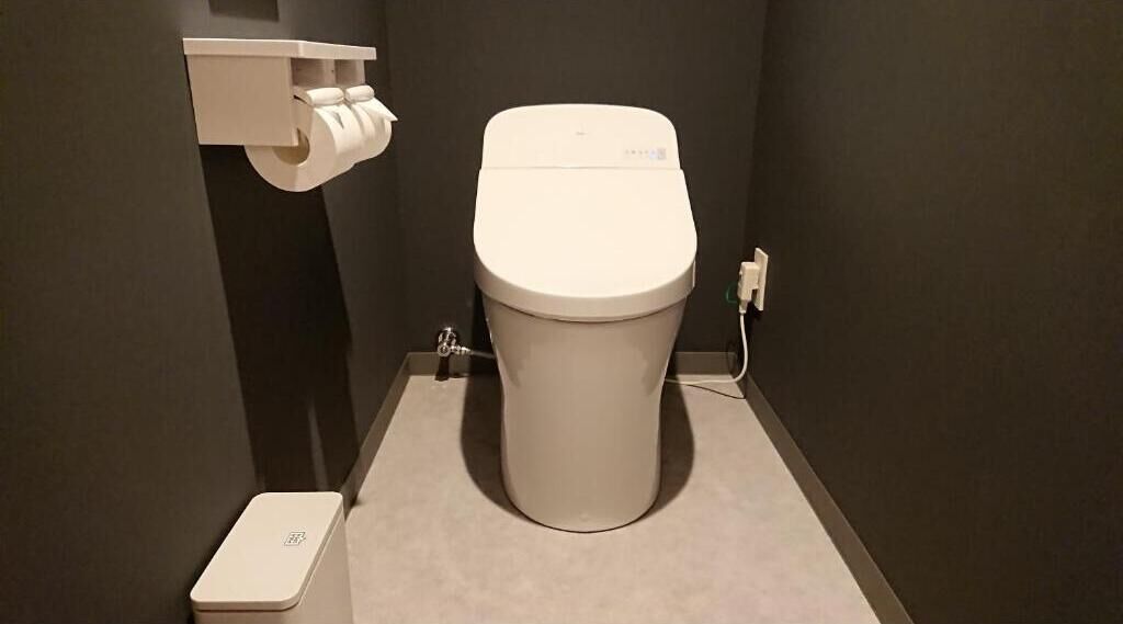 shower, hair dryer, slippers, bidet