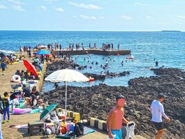 A crowded beach with people swimming and sunbathing, a pier with people walking, and various beachside activities.