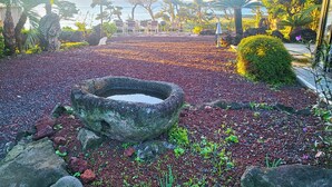Un jardín con una pileta de piedra, palmeras y vista al mar.