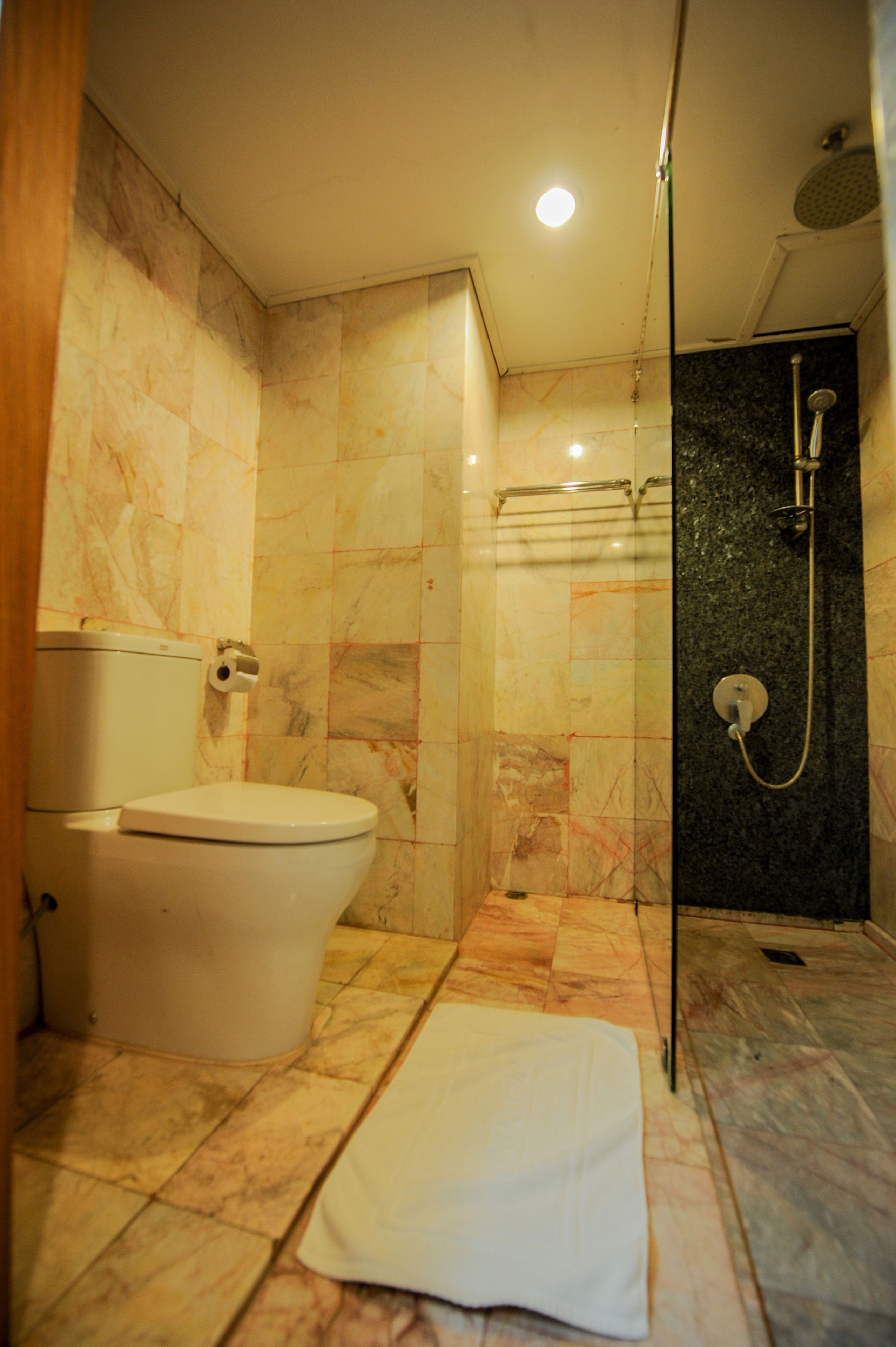 Een badkamer met een toilet, een douche en een betegelde vloer van marmer.