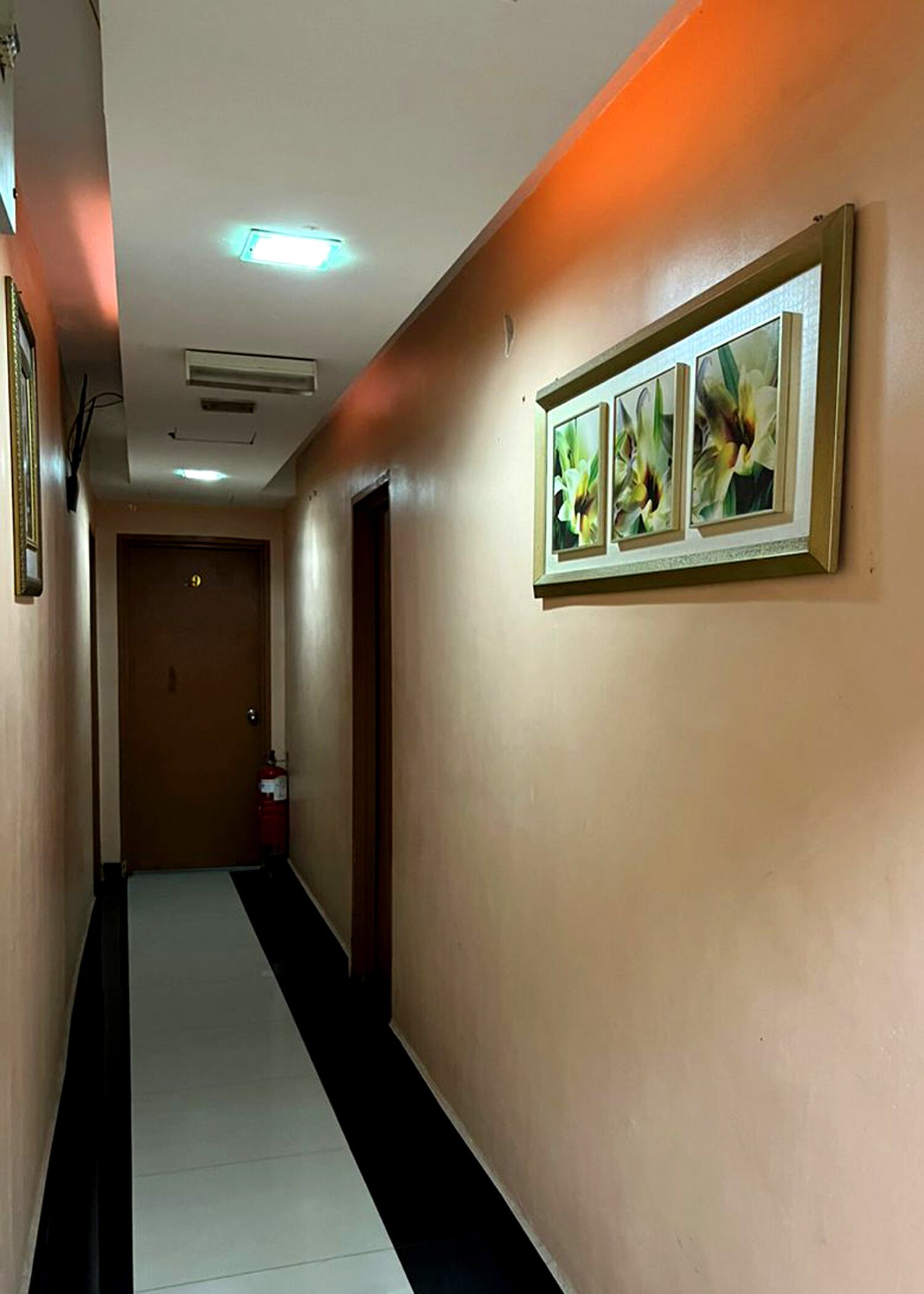 A hallway with a fire extinguisher, a door at the end, and framed floral artwork on the wall.
