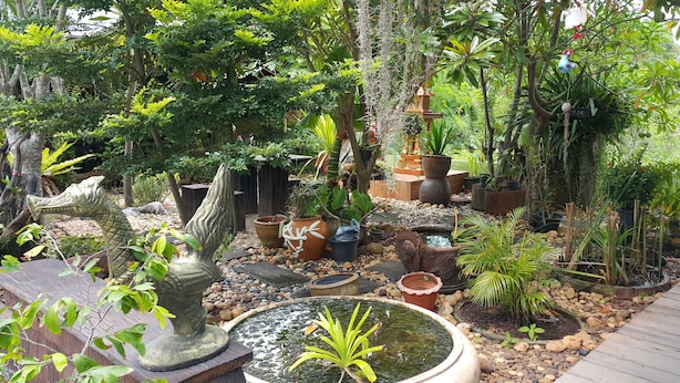 Garden - Garden House Resort (Surat Thani)