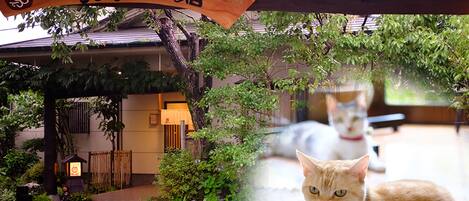 Fachada de la propiedad