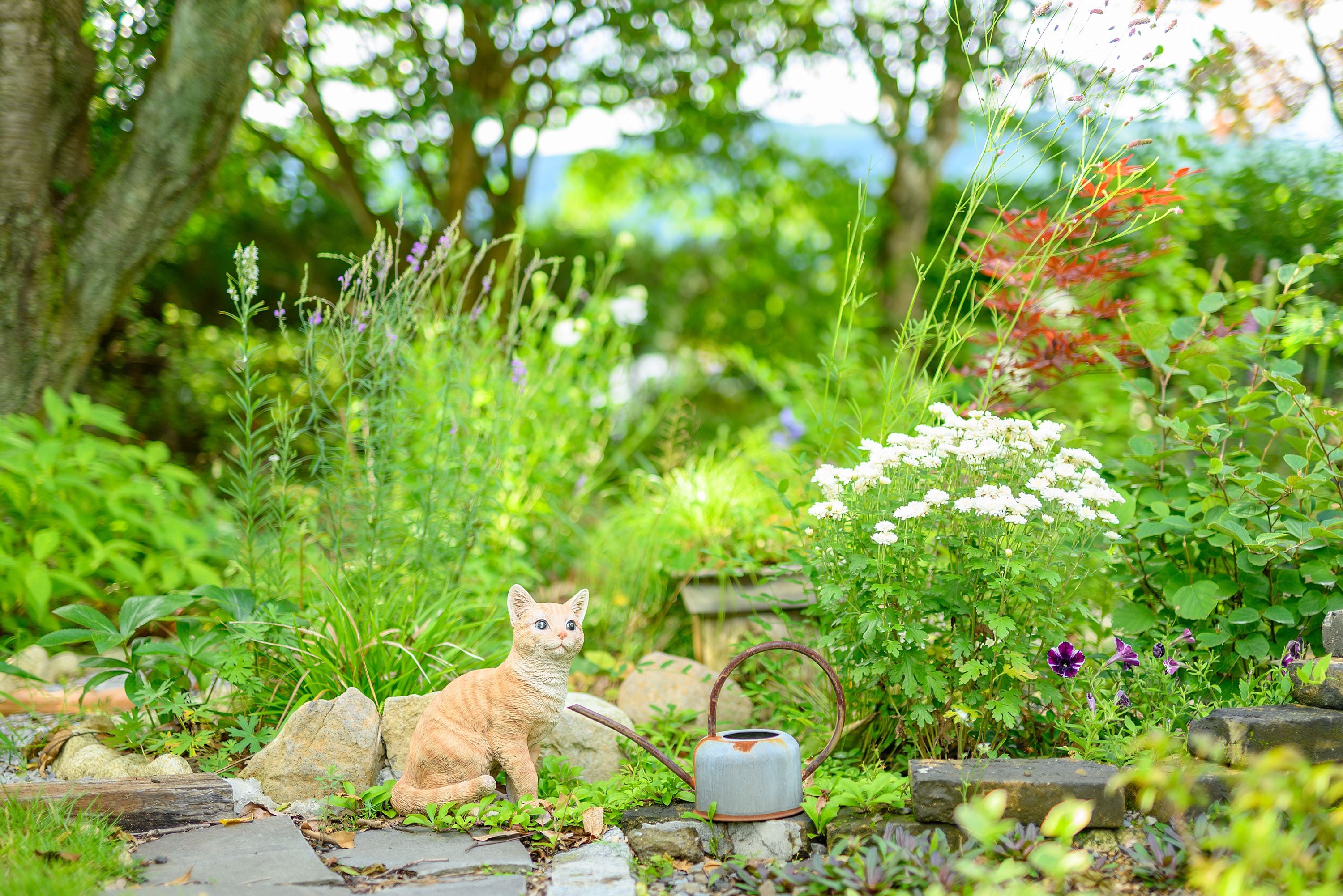 A garden with a cat statue, a metal watering can, and various plants.