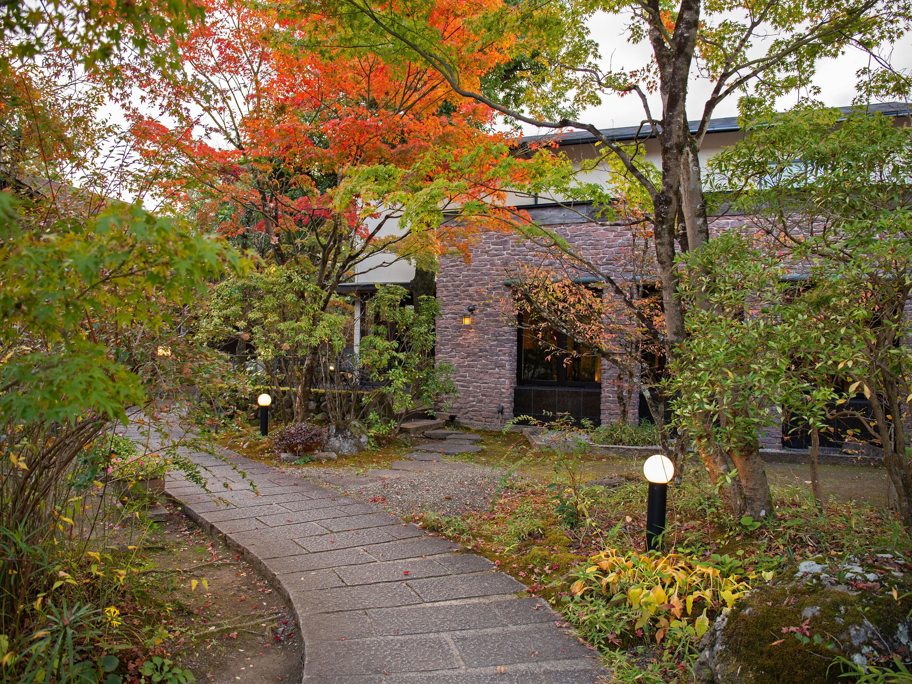A stone pathway leading to a building with a stone facade and large windows.