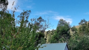 A rustic cabin with a metal roof, surrounded by a natural landscape with trees and a small pond.