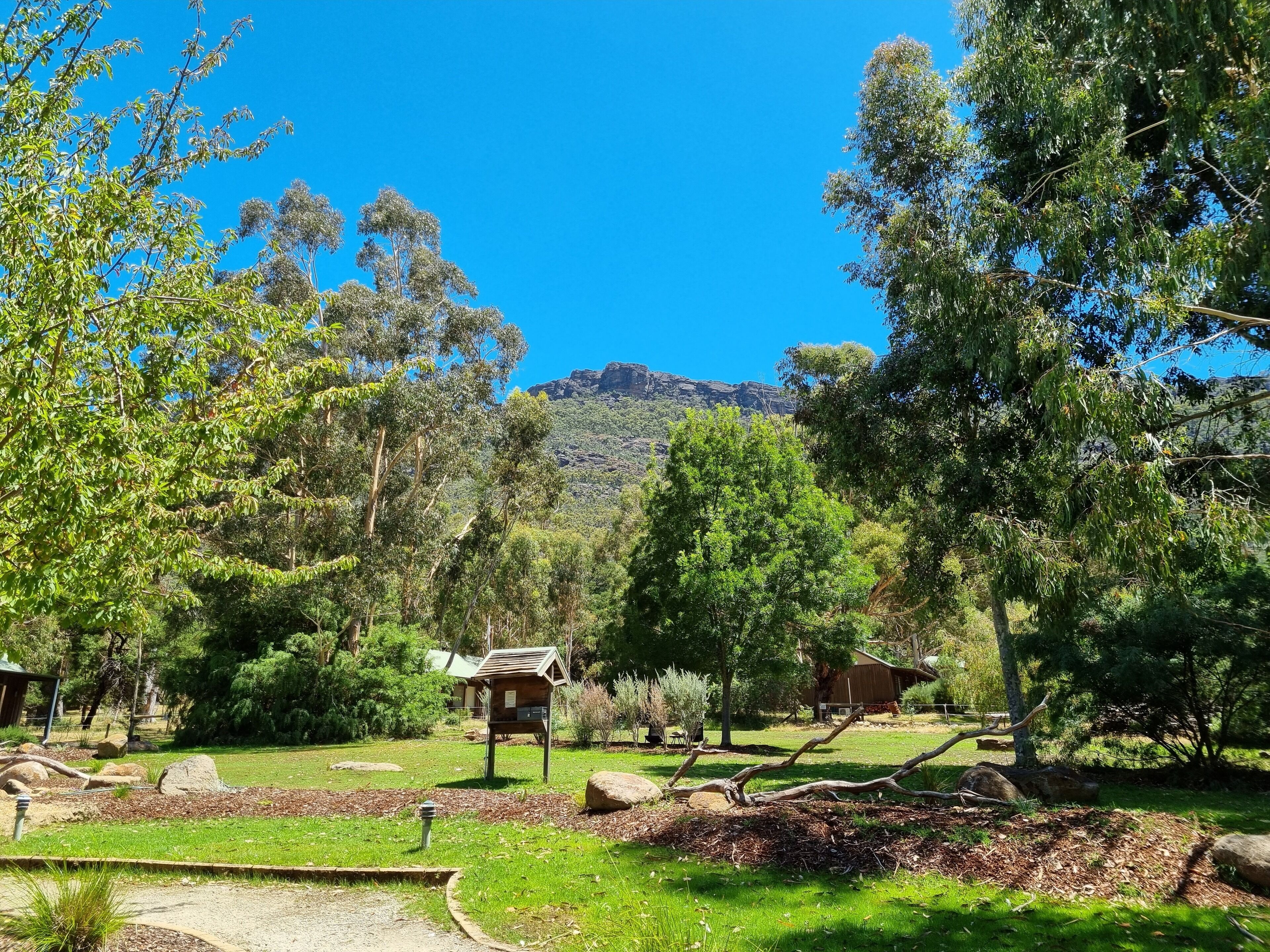 A campsite with a wooden shelter, a picnic table, and a clear view of a mountain in the background.