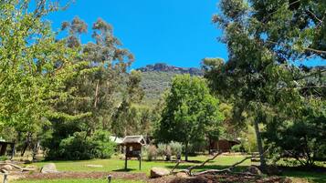 A campsite with a wooden shelter, a picnic table, and a clear view of a mountain in the background.