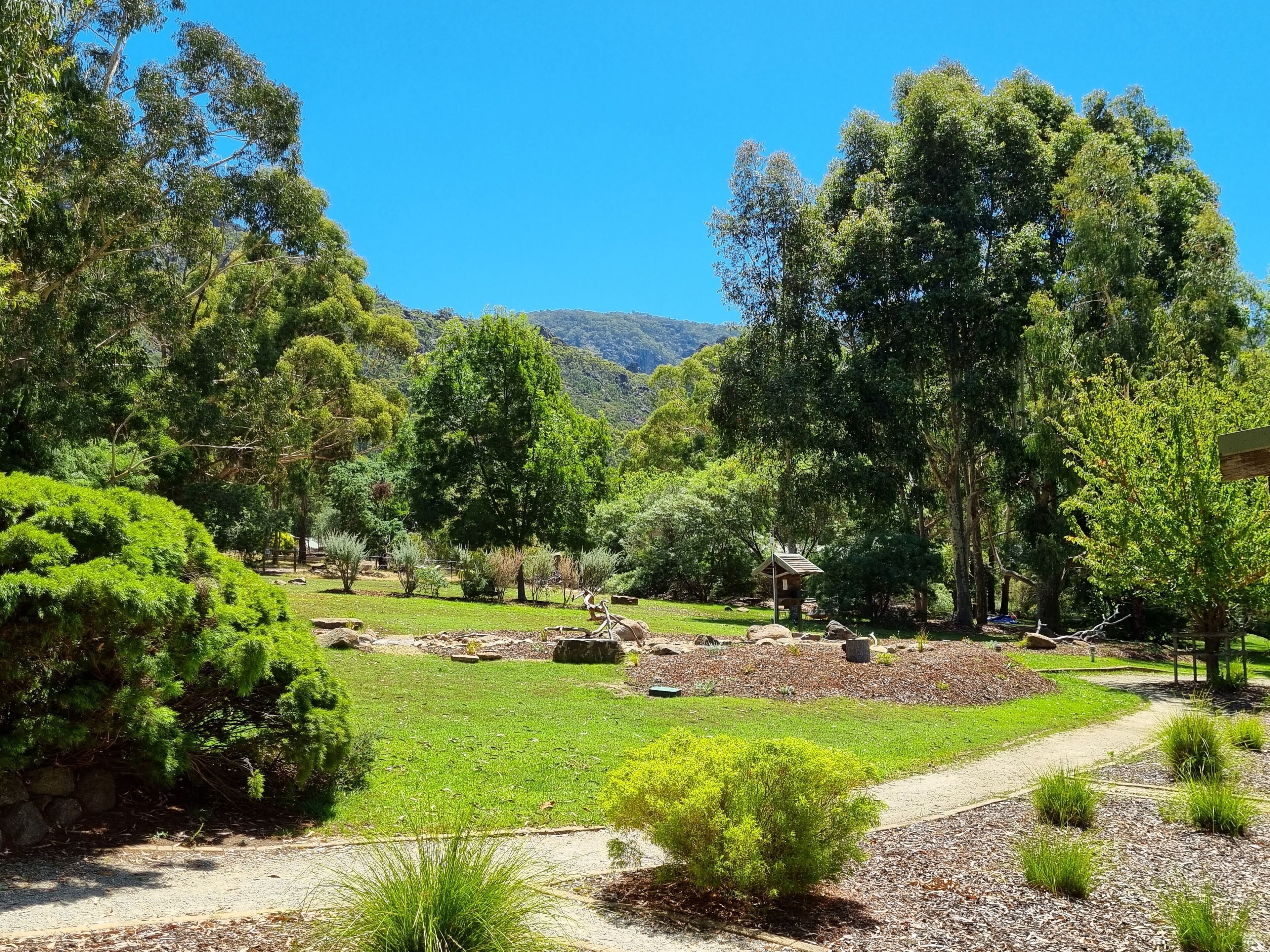 A well-maintained garden with various trees and shrubs, a clear pathway, and a small wooden structure.