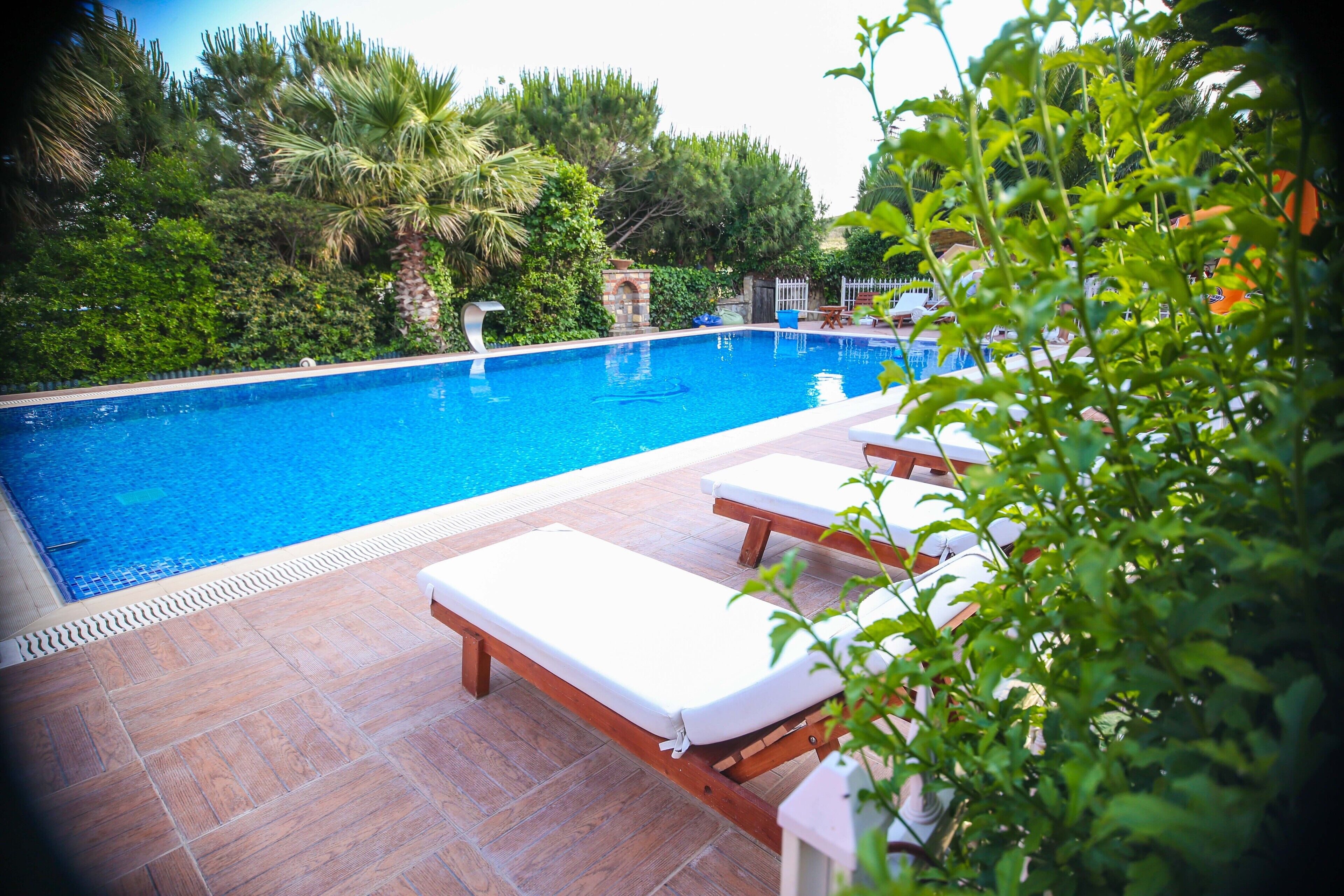 outdoor pool, pool umbrellas, pool loungers