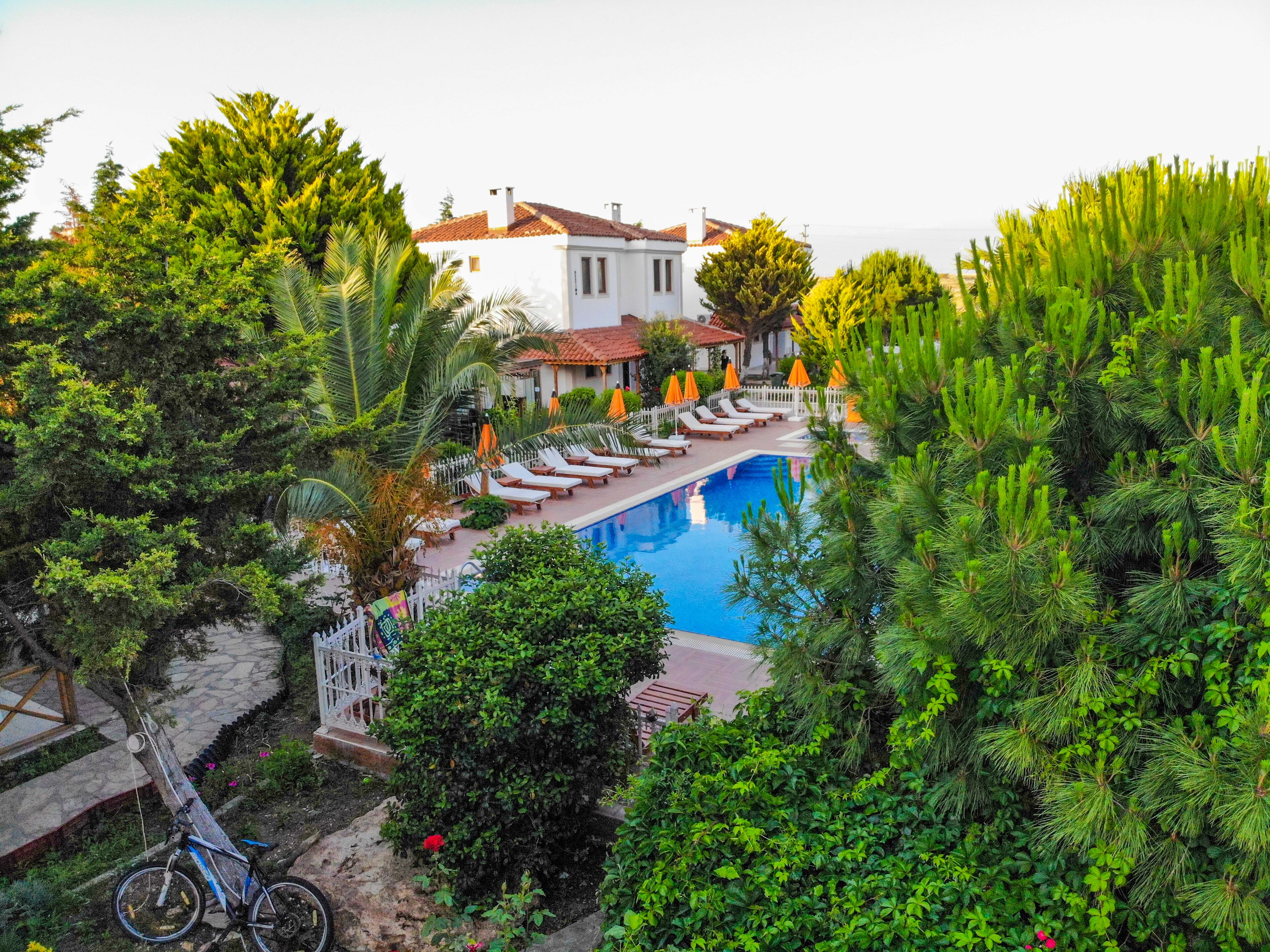 outdoor pool, pool umbrellas, pool loungers