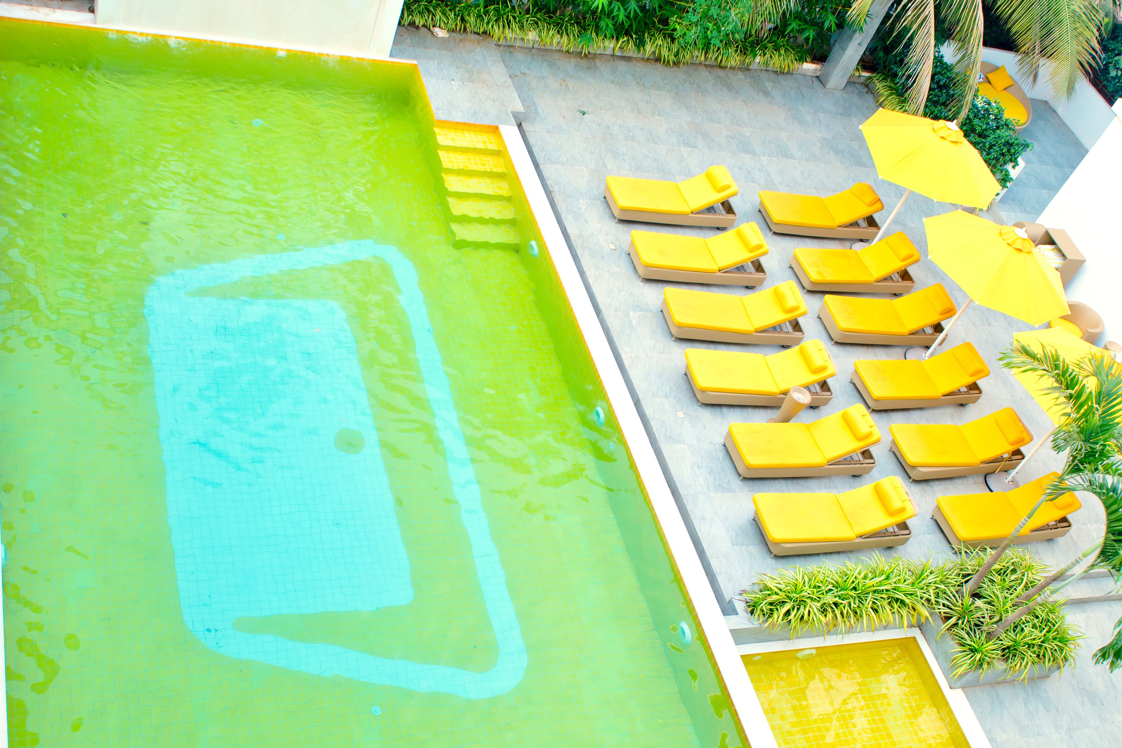 outdoor pool, open 8 am to 8 pm, pool umbrellas