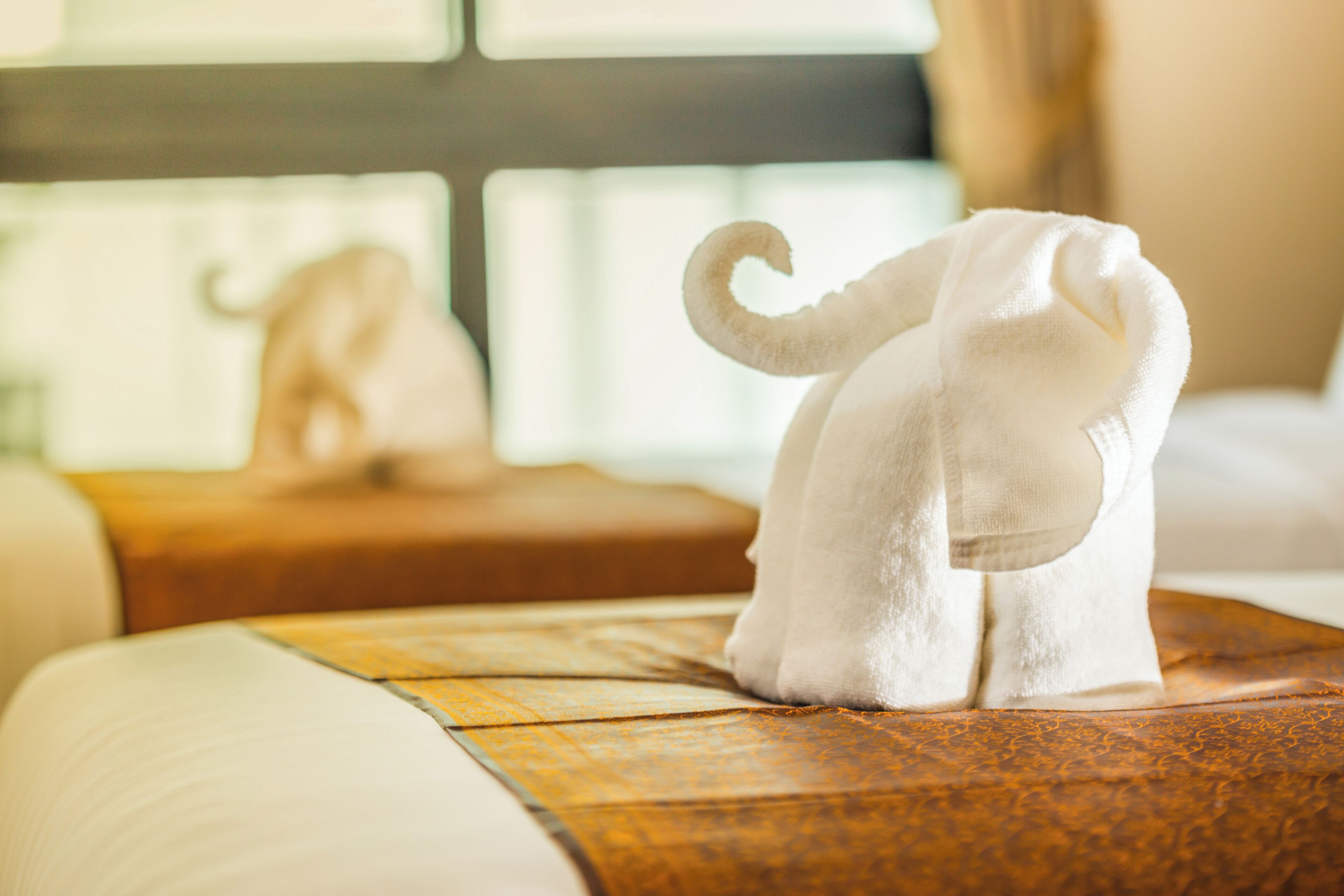 Photo - The Signature Hotel Thapae