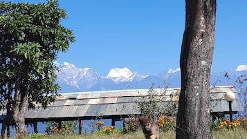Vista al jardín