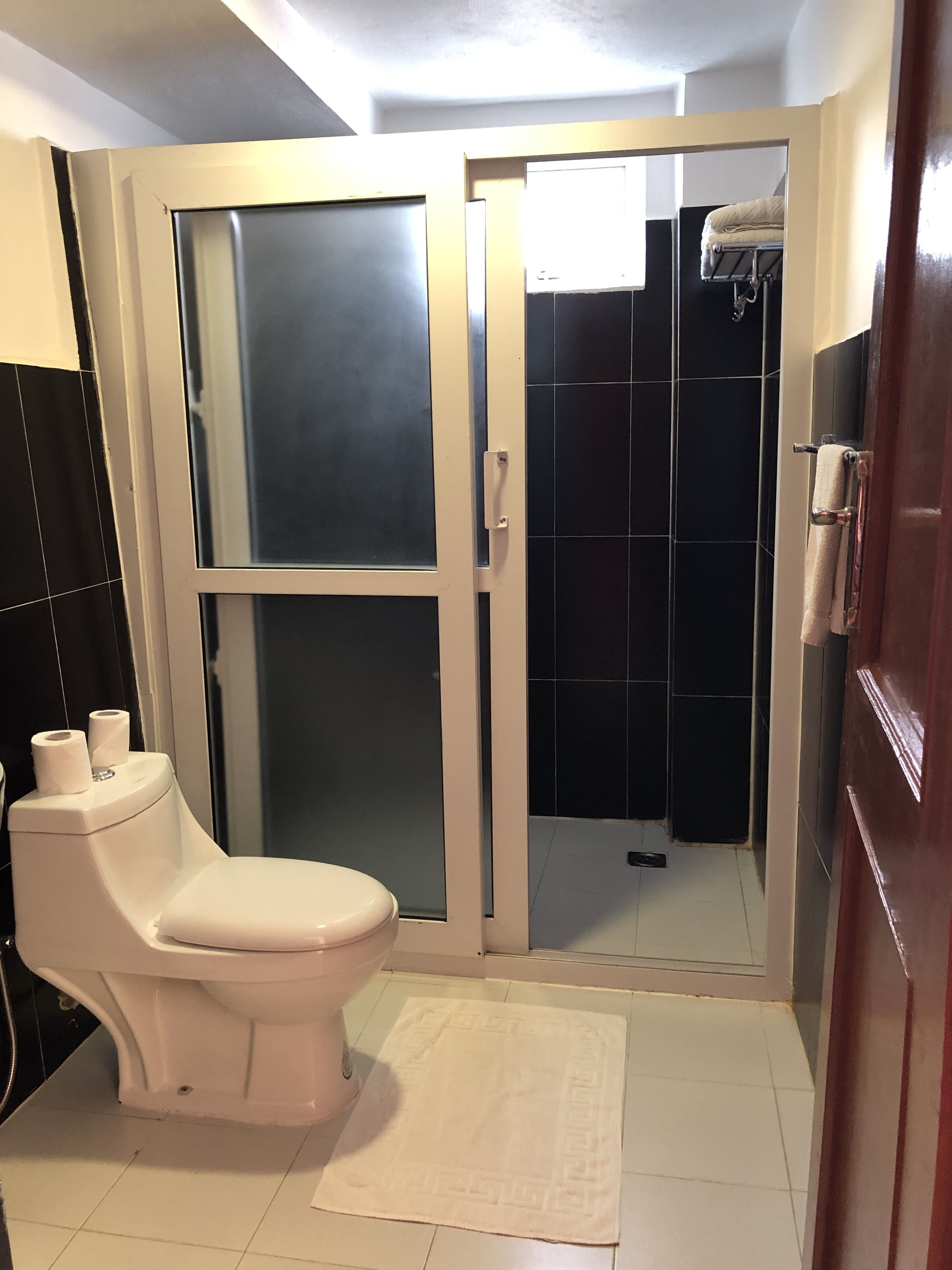 A bathroom with a toilet, a shower, and a glass-enclosed door.