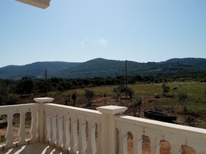 Vista desde la propiedad