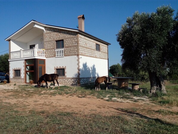 A two-story house with a balcony, a stone facade, and two horses grazing nearby.