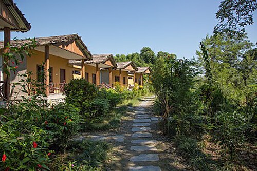 Island Jungle Resort