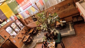 An indoor restaurant with brick walls, wooden furniture, and hanging plants. - Cafe de Patan (Lalitpur)