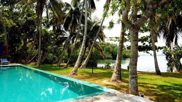 A swimming pool surrounded by palm trees and a view of the water. - Arunalu Lake Front (Koggala)