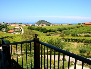 View from property - Usotegi  Agroturismo (Getaria)