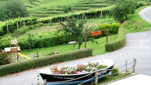 Un barco con flores a un lado de una carretera junto a un viñedo.