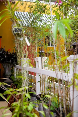 Terrace/patio - Casa da Buena Vista (Mandeville)