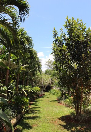 Garden - Casa da Buena Vista (Mandeville)