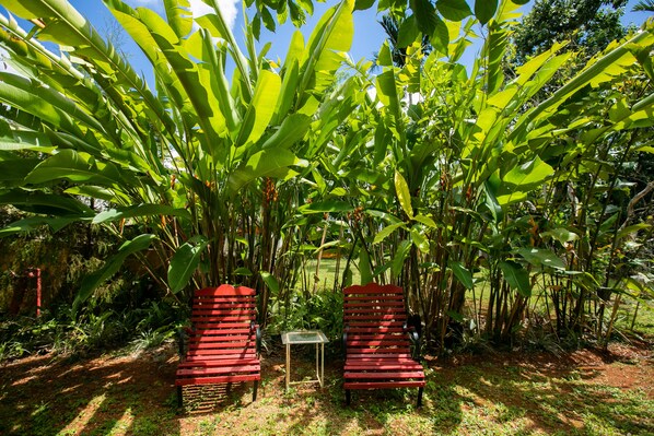 Garden - Casa da Buena Vista (Mandeville)