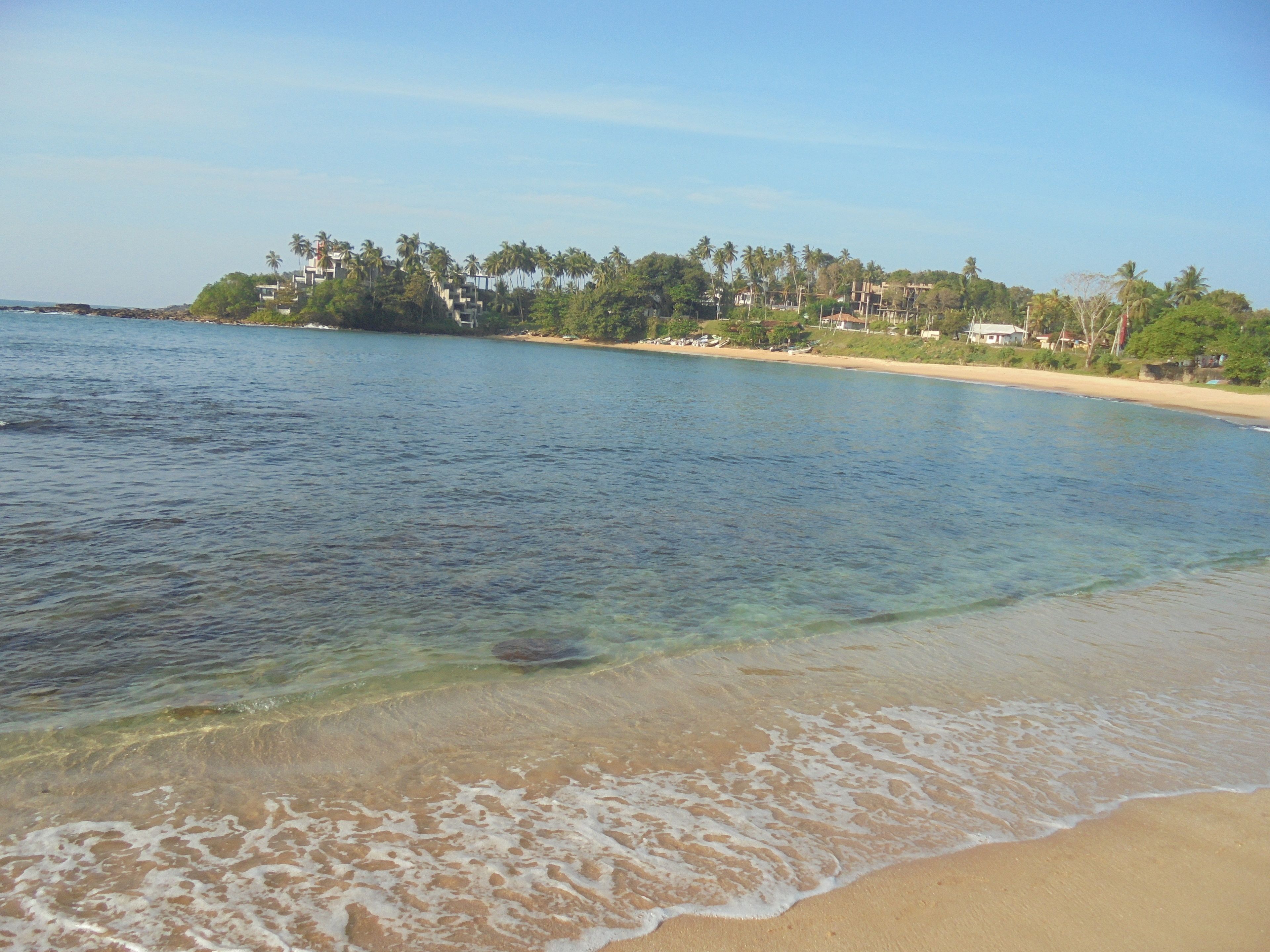 Vista desde la propiedad