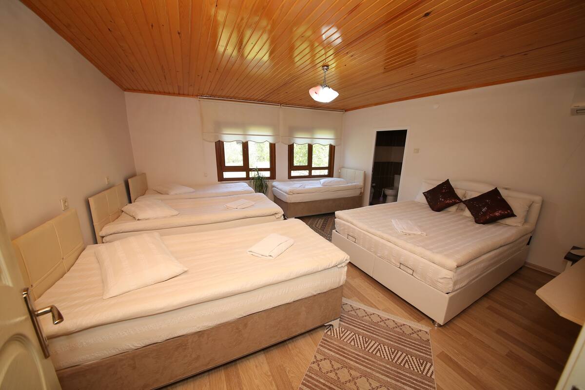 Habitación con dos camas, techo de madera y ventanas con cortinas.