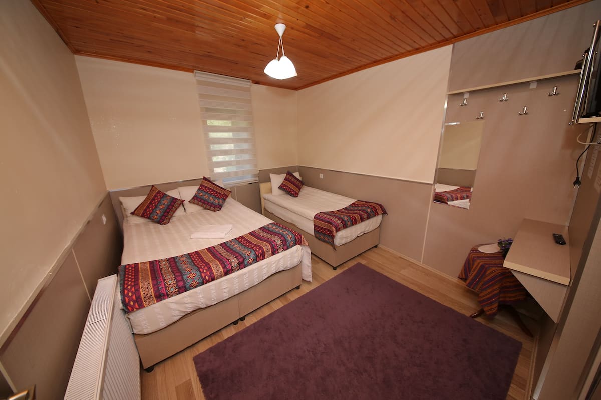 Un dormitorio con dos camas, techo de madera, un espejo grande y un radiador.