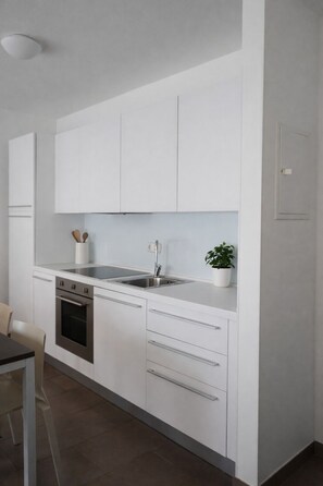 스탠다드 아파트, 퀸사이즈침대 1개 및 소파베드 | 전용 주방 | 냉장고, 전자레인지, 오븐, 쿡탑