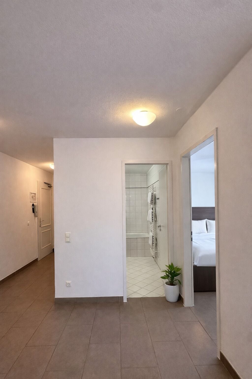 Una habitación de hotel con cama, una planta en maceta y un baño con ducha y toallero.