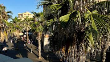 A street lined with palm trees and buildings, with people walking and shops on the side.