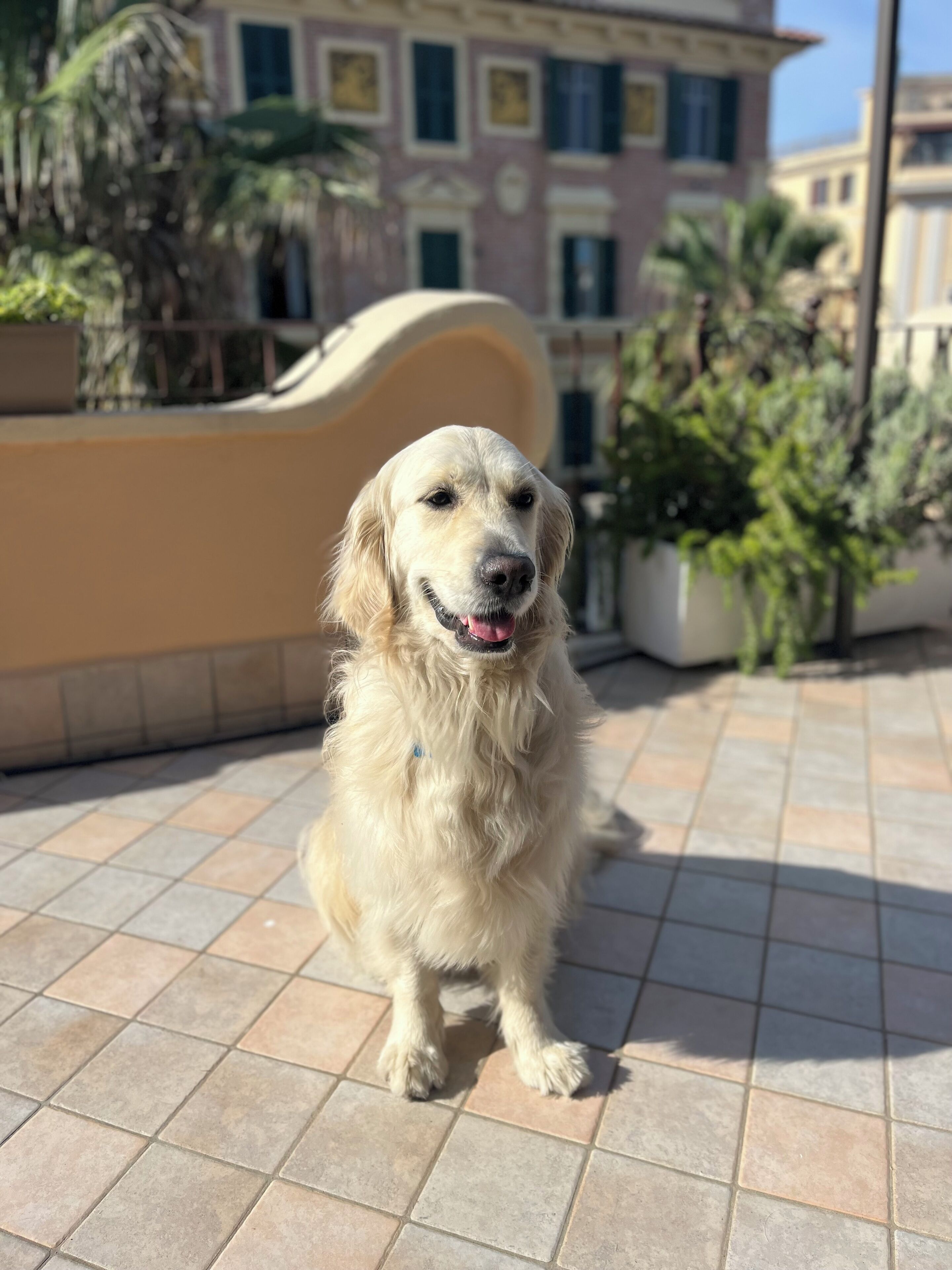 Foto - Barocchetto Romano