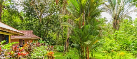 Jardin