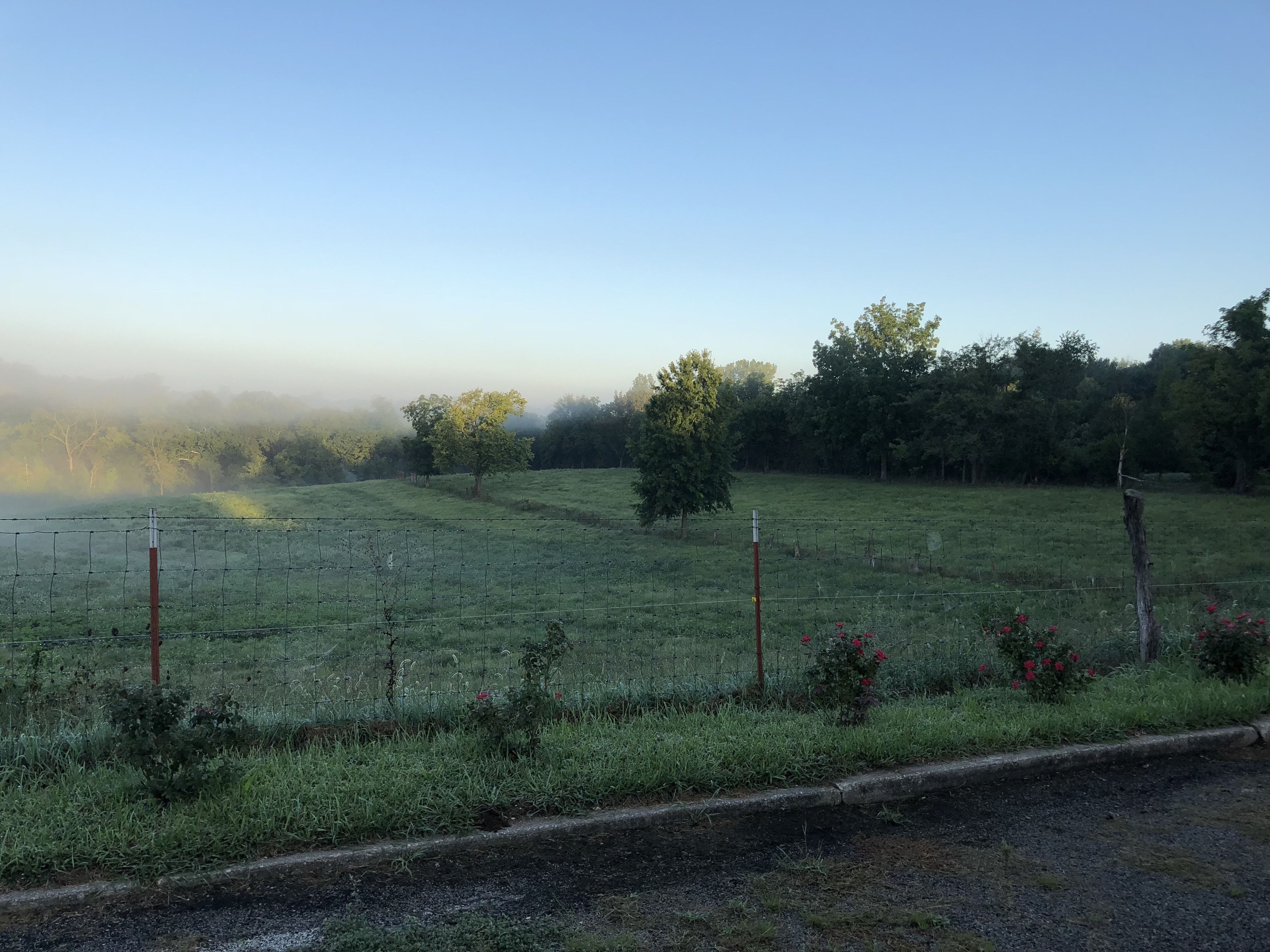 A rural landscape with a fence, trees, and a misty background.