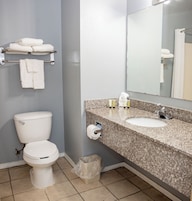 A bathroom with a toilet, sink, mirror, towel rack, and a trash bin.