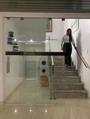 منطقة الاستقبال