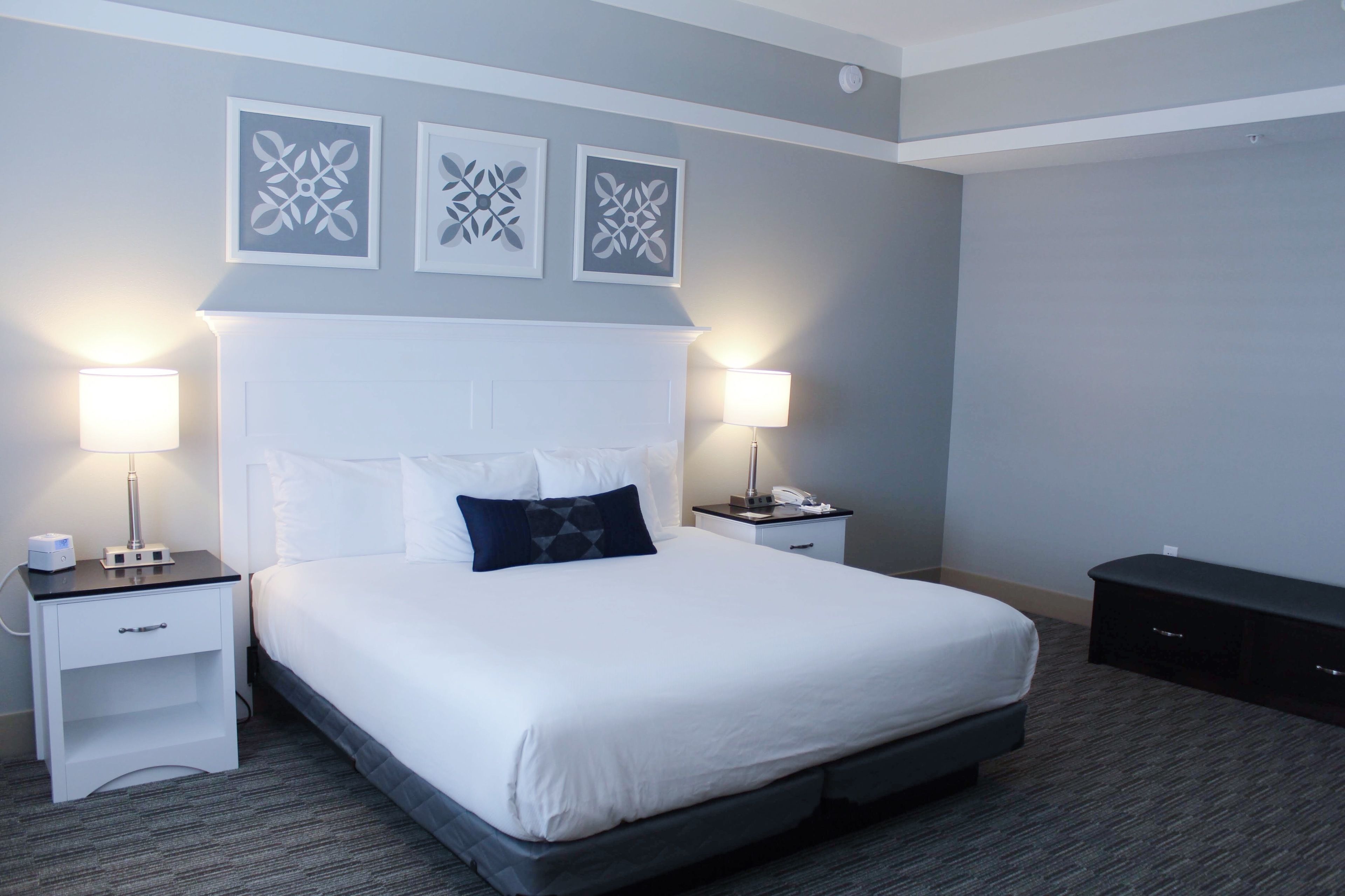 standard room, 1 king bed with sofa bed | premium bedding, soundproofing, iron/ironing board, free wifi