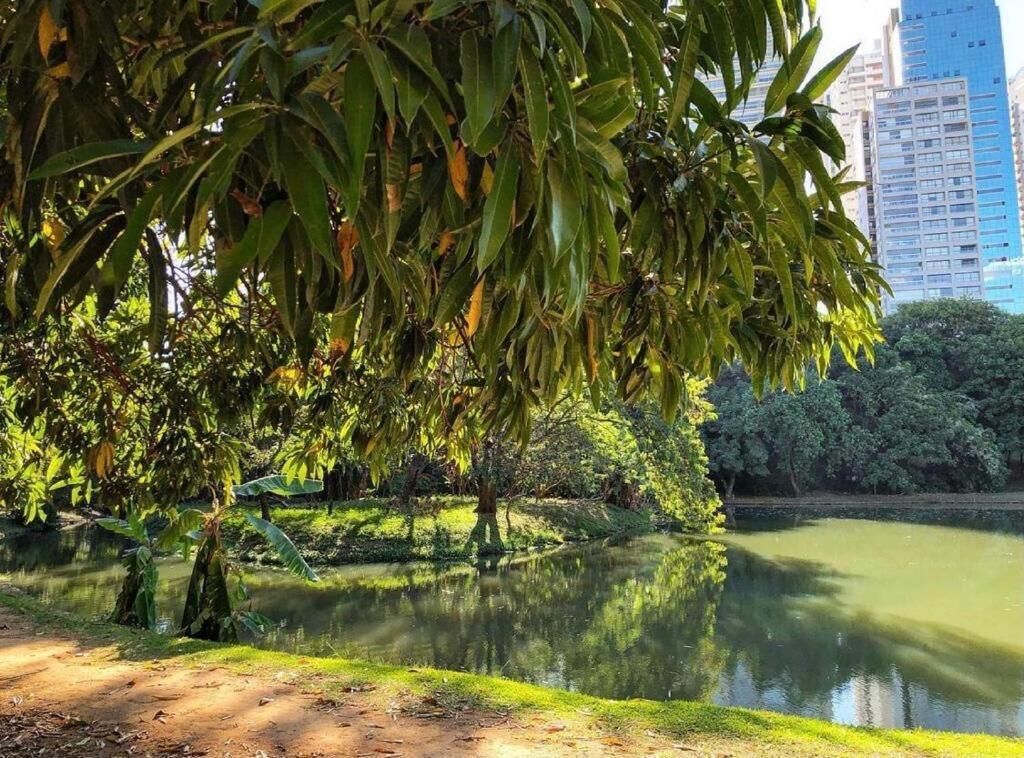 A serene park with a pond, surrounded by lush greenery and tall buildings in the background.