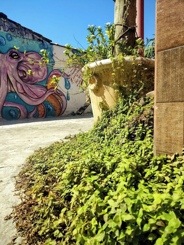 Amethyst / Emerald ground floor | Uitzicht op de tuin