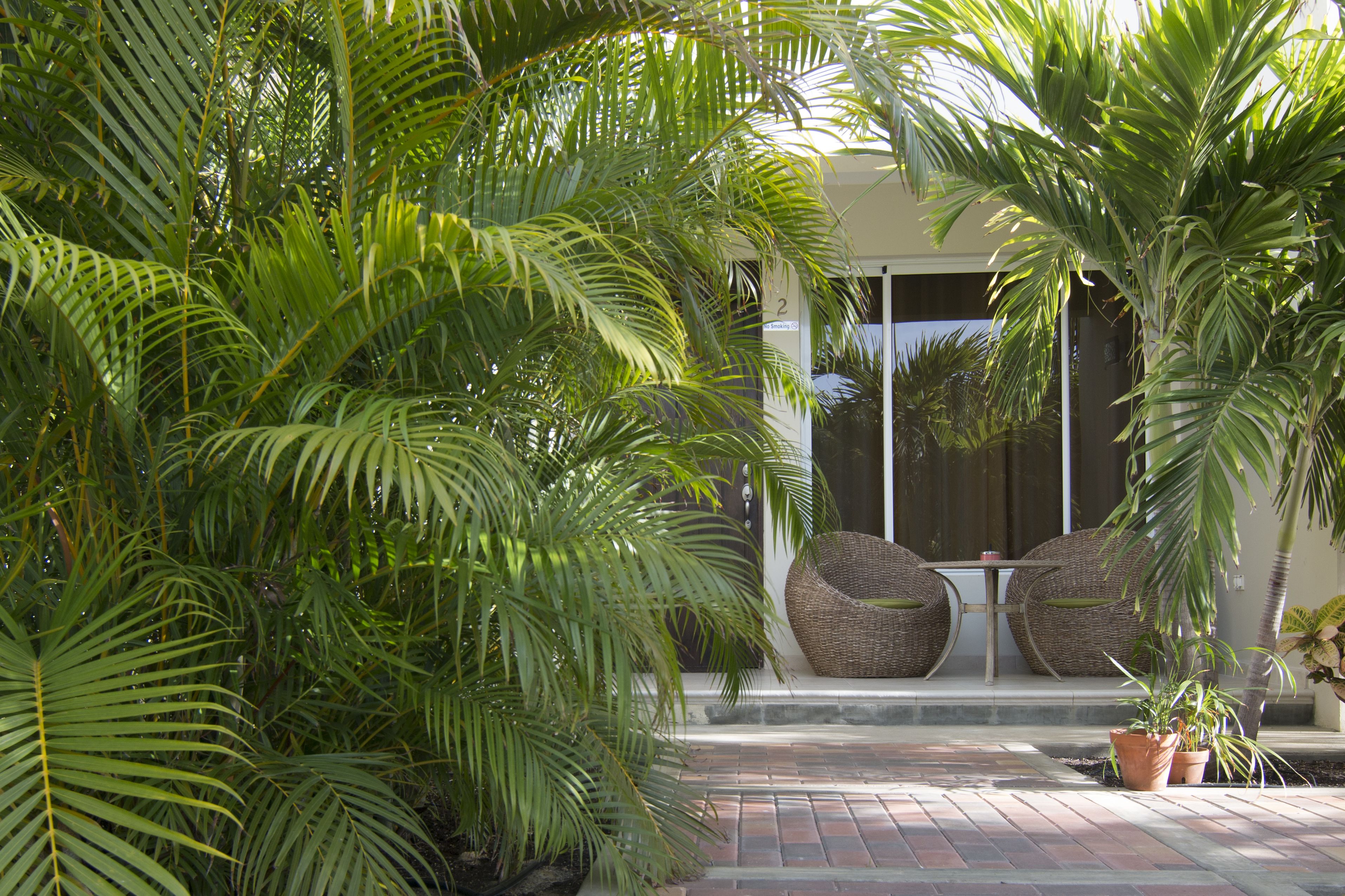 design apartment, 2 bedrooms, kitchen | terrace/patio