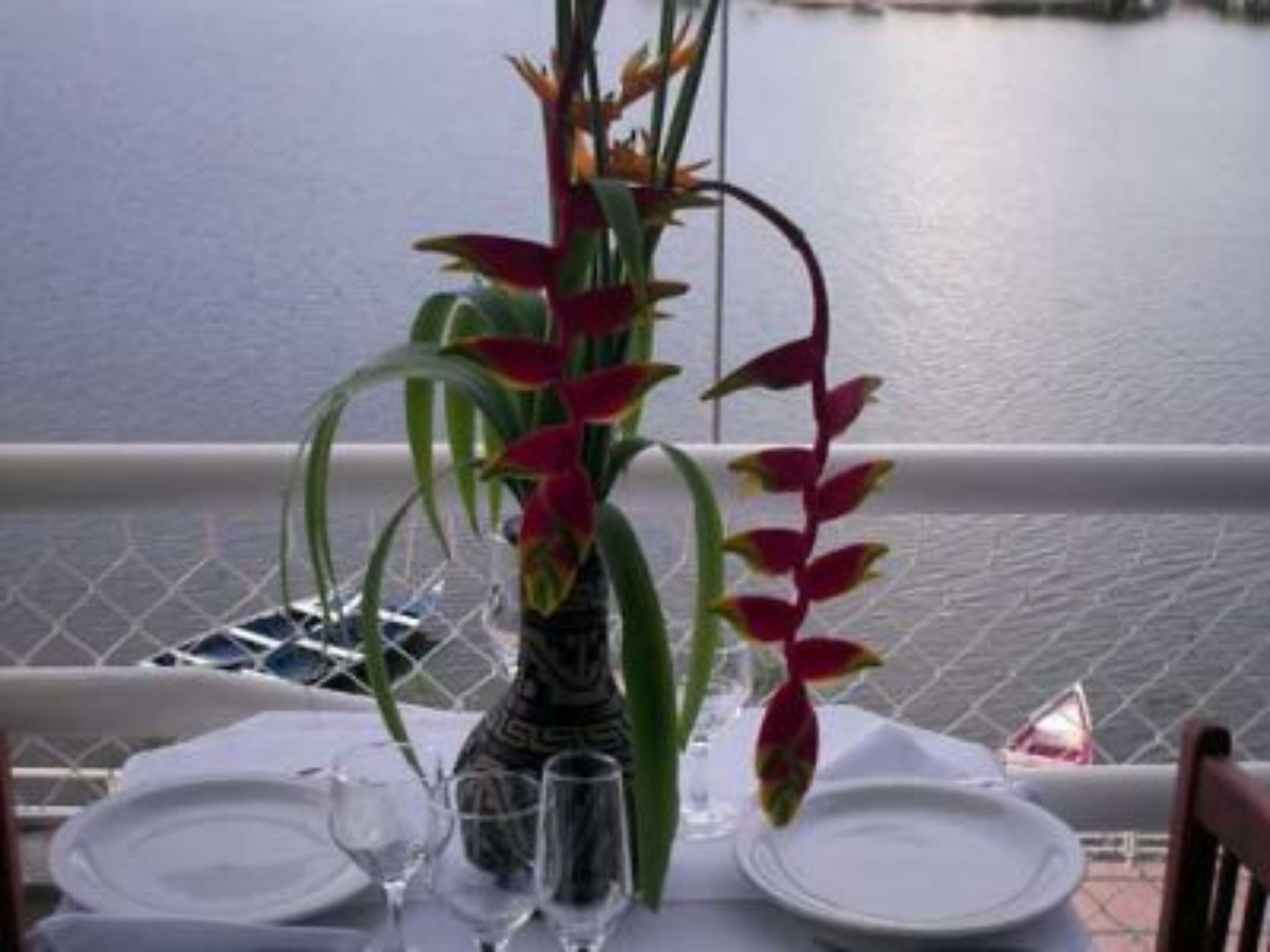 lunch and dinner served, brazilian cuisine