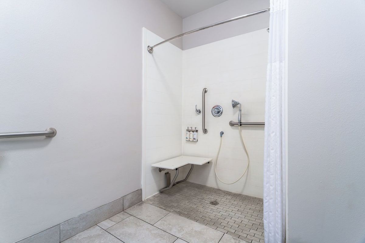 Standard Room, 1 King Bed, Roll-in Shower (Mobil, Roll Shwr) | Desk, blackout drapes, iron/ironing board, rollaway beds